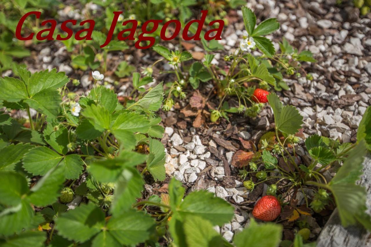 Casa Jagoda Visnjan Bagian luar foto